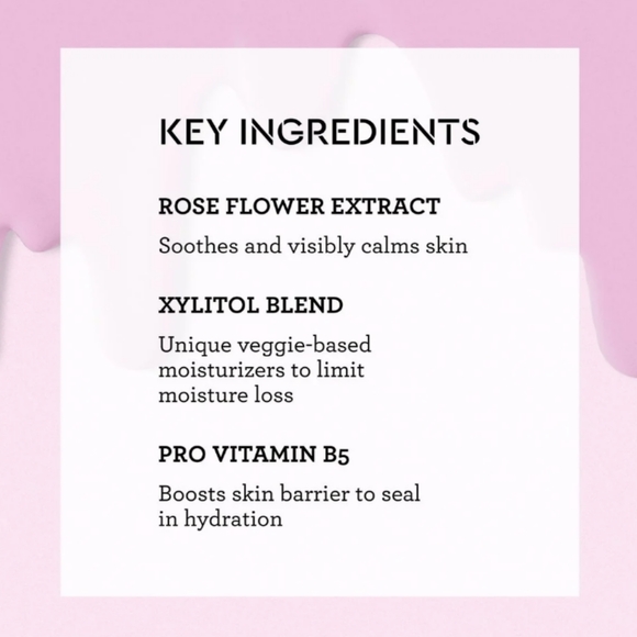 NWT BLISS Spa Makeup Melt Cleanser - Picture 2 of 6